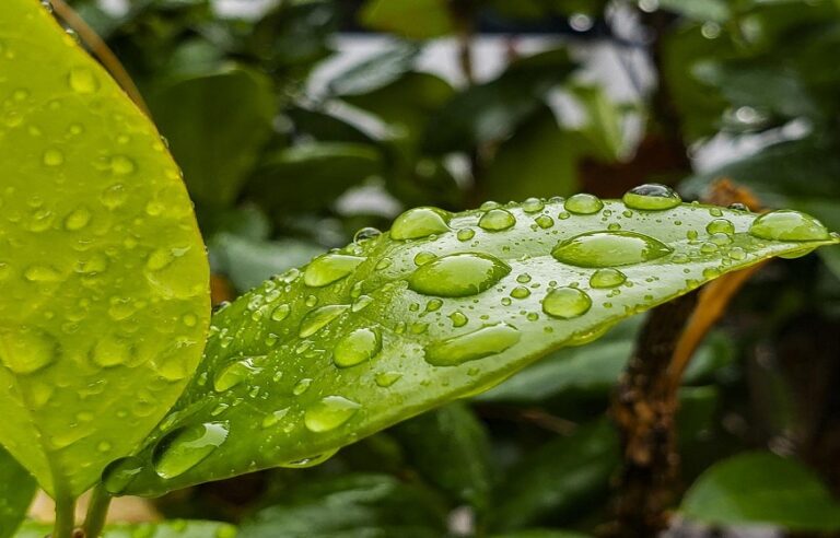 humidity at home