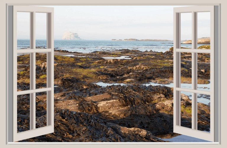 uPVC window and door manufacturers in Maharashtra